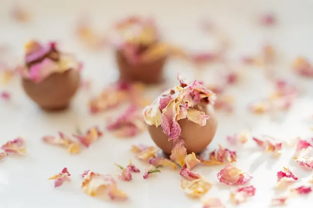 Pelican Casino App Android/iOS